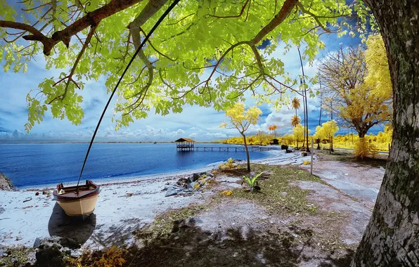 Autumn, the sky, leaves, clouds, trees, lake, shore, boat