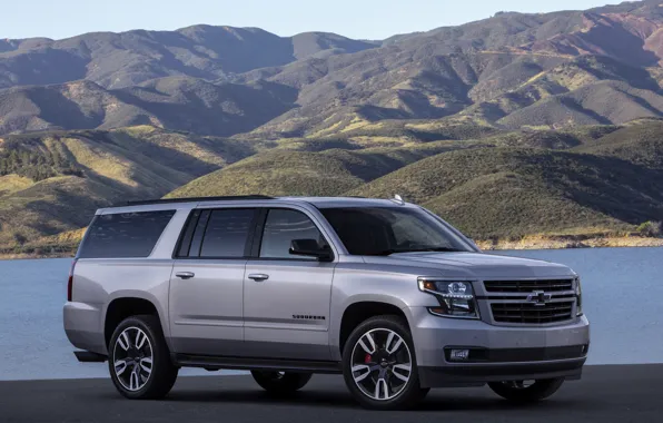 Picture grey, Chevrolet, side view, SUV, Suburban, 2019