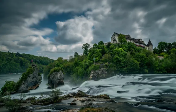 Greens, forest, summer, the sky, clouds, trees, river, stones