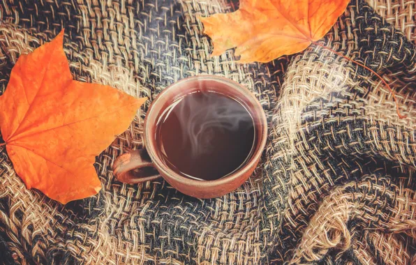 Autumn, leaves, plaid, wood, autumn, leaves, coffee cup, a Cup of coffee