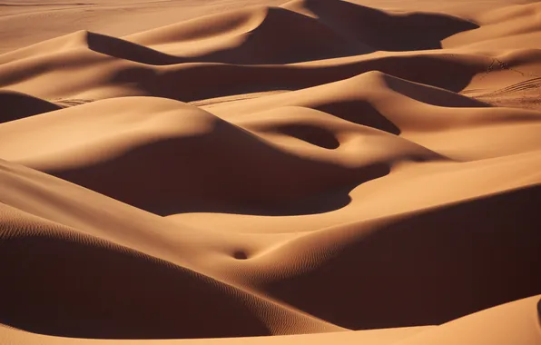 Picture sand, landscape, desert, dunes