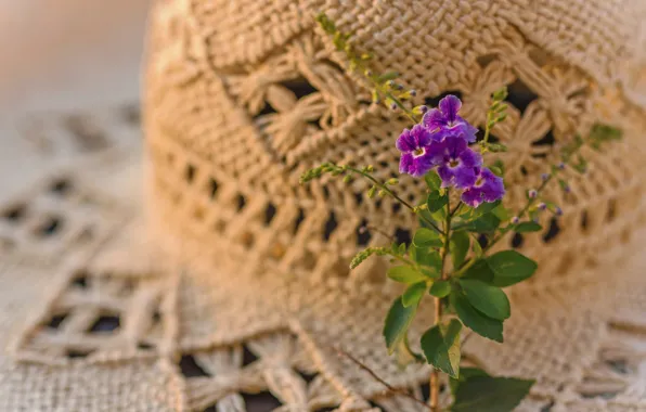 Wallpaper flower, style, hat for mobile and desktop, section разное