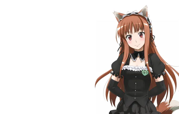 Anime, Horo, Spice and wolf, Spice and Wolf, Horo, White background., A friend