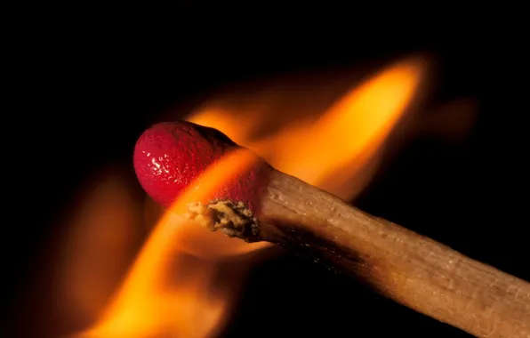 Picture macro, fire, match