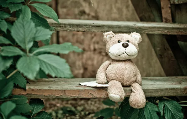 Leaves, toy, bear, bear, ladder, stage, bear, Teddy