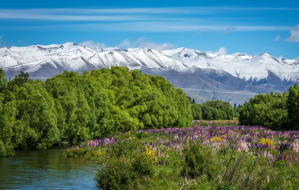 Picture greens, the sky, grass, the sun, trees, flowers, mountains, river
