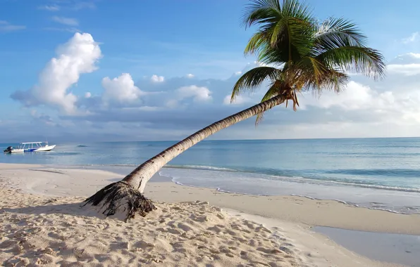 Picture beach, palm trees, the ocean, boat, white sand