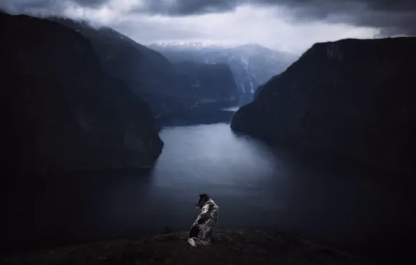 Mountains, nature, pose, shore, dog, pond