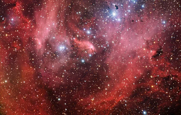 Picture nebula, Centauri, Lambda, IC 2944