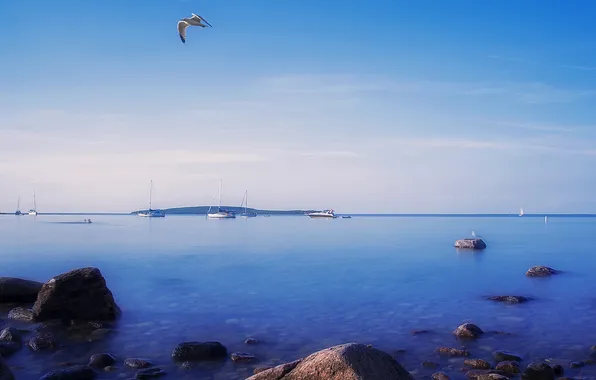 Sea, the sky, nature, stones, bird, shore, boat, horizon