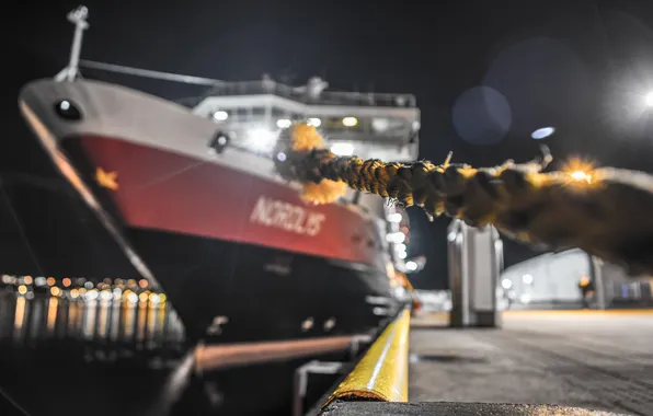 Night, the city, ship, port