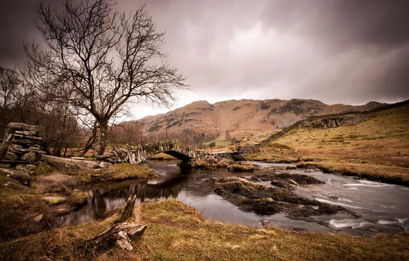 Landscape, bridge, river