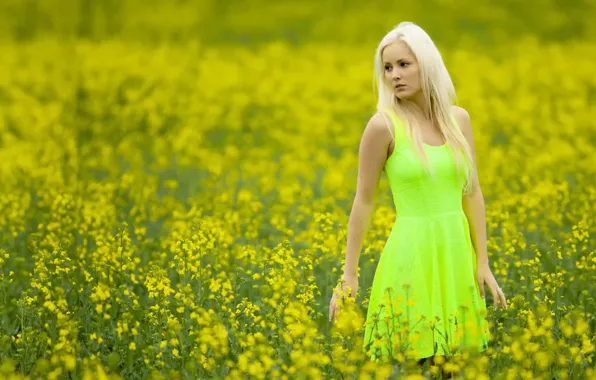 Field, girl, color, dress, Cathy