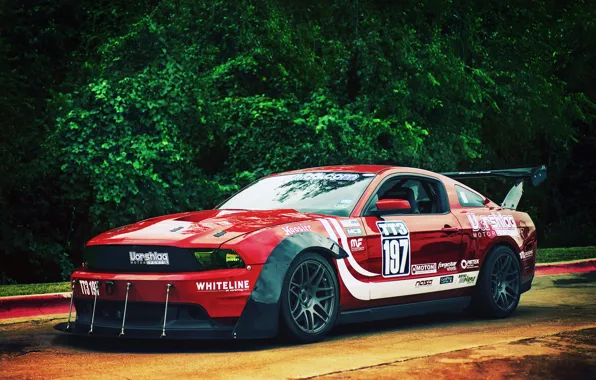 Picture Mustang, Ford, red, front, race car, kit