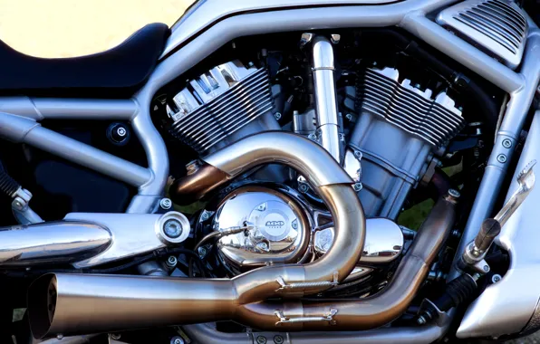 Picture pipe, frame, Harley Davidson, chrome, motor
