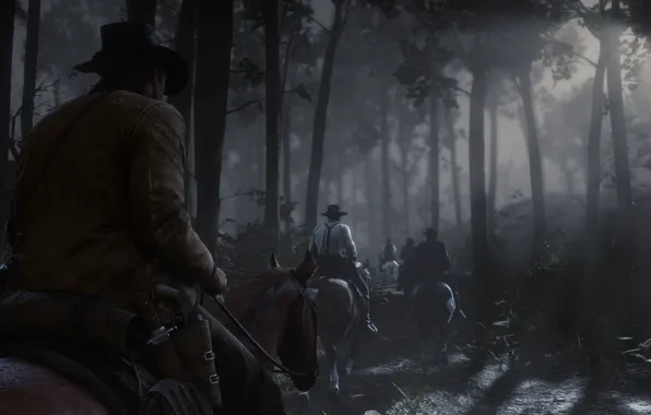 Picture forest, night, horse, hat, Rockstar, Bandit, Red Dead Redemption 2, Arthur Morgan