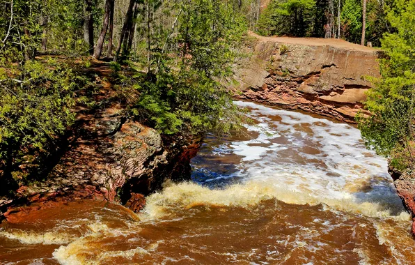 Picture forest, trees, Park, river, stones, rocks, for, USA