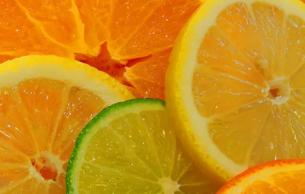 Picture macro, lemon, orange, slice, lime, citrus, fruit