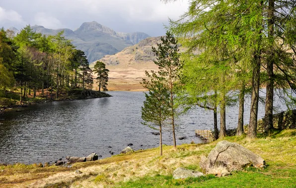 The sky, trees, landscape, mountains, lake, stones