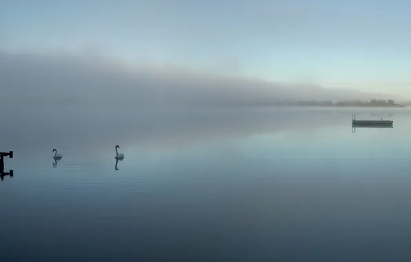 Water, Nature, Reflection, Photo, Fog, Pier, Lake, Trees