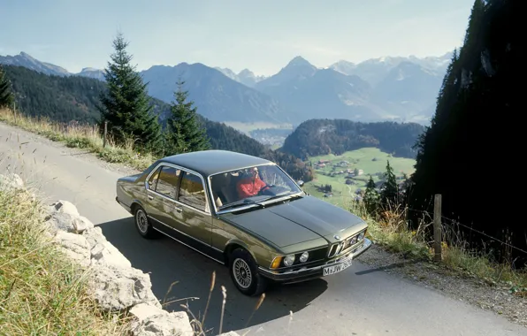 Greens, forest, mountains, green, green, shark, BMW, village