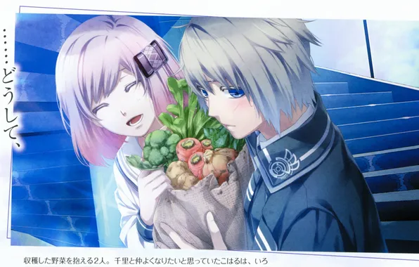 Characters, blush, vegetables, students, pink hair, embarrassment, visual novel, senri ichinose