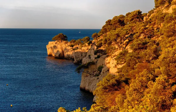 Picture sea, the sky, the sun, trees, rocks, shore, France, horizon