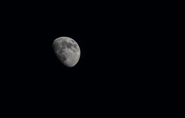 Night, the moon, black background