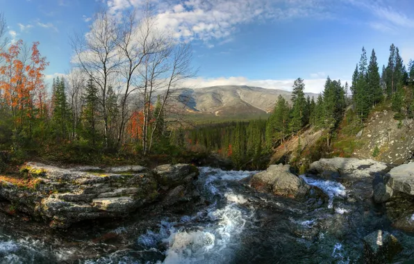 Picture lake, landscape, nature