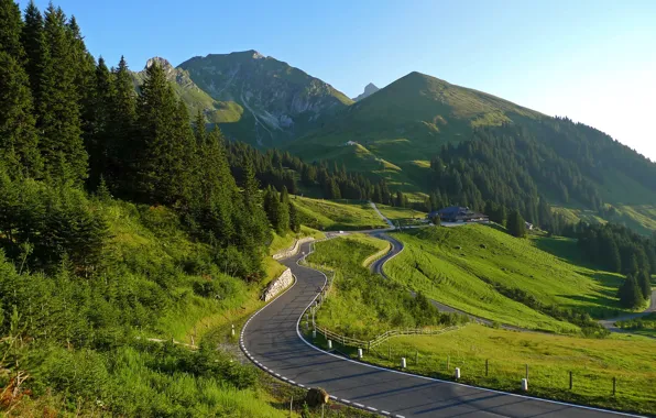 Road, nature, landscapes