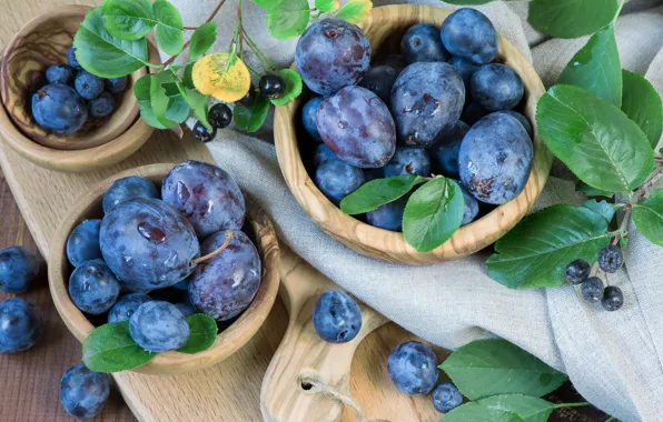 Leaves, berries, table, towel, fruit, still life, plum, twigs