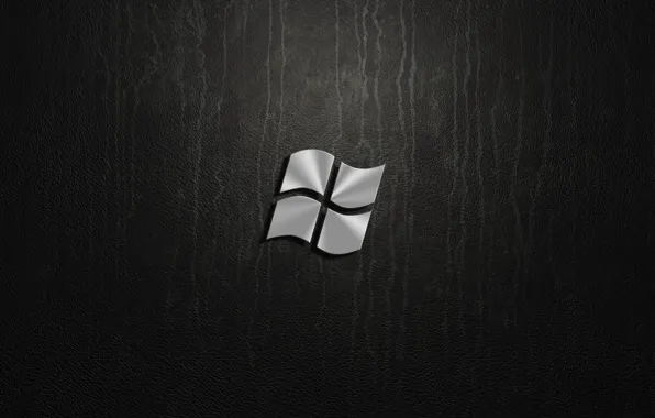 Picture silver, windows, logo