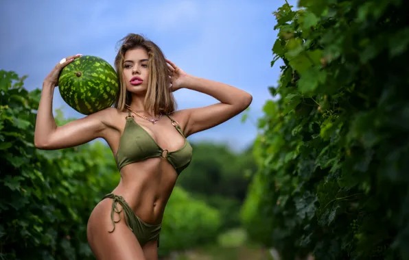 Girl, model, body, panties, makeup, watermelon, figure, hairstyle