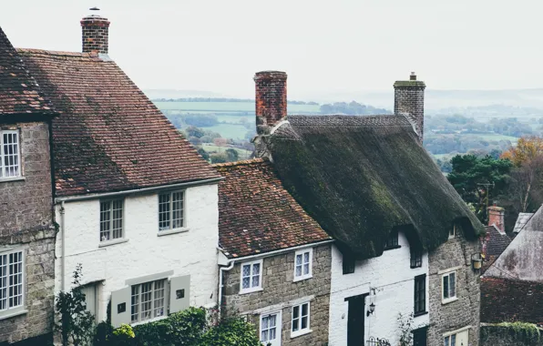 England, Home, Dorset, Golden Hill