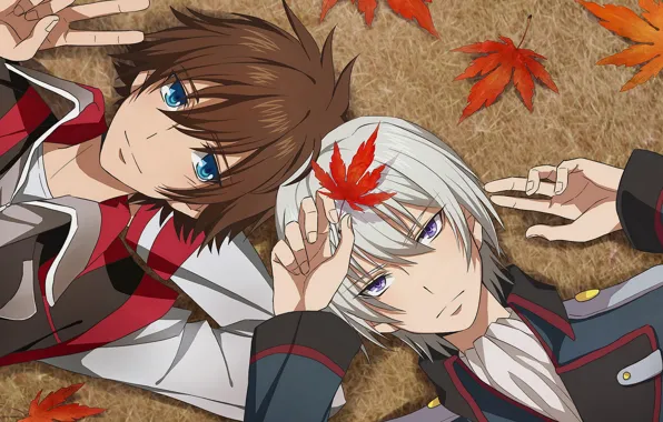 Autumn, leaves, guys, Kakumeiki Valvrave, Walgrave Liberator