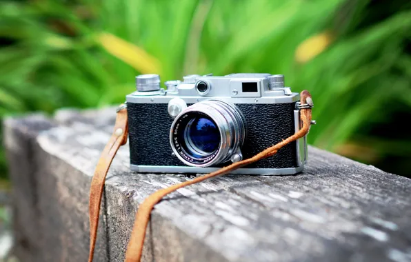 Macro, background, camera