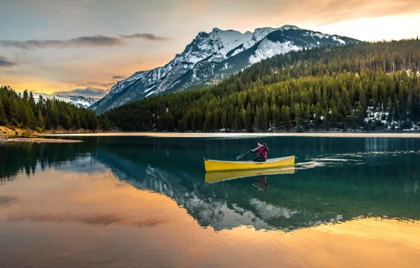 Forest, light, mountains, lake, reflection, blue, shore, boat