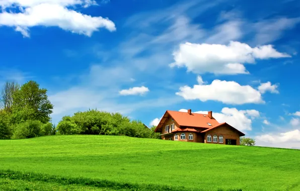 Picture greens, field, the sky, grass, clouds, trees, house, the bushes