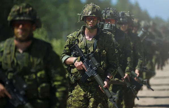 Soldiers, equipment, Stroy