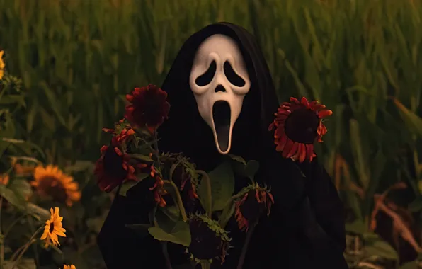 Summer, sunflowers, harvest, summer, killer, scream, Killer