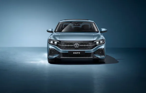 Volkswagen, exterior, Passat 330 TSI, Star Grill