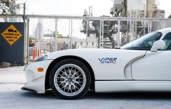 Picture Wheel, The inscription, Dodge Viper, The front, 1997, GTSR