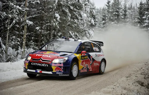 Picture Winter, Auto, Snow, Forest, Sport, Citroen, WRC, Rally