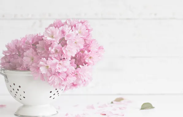 Flowers, petals, flowering, leaves, sieve