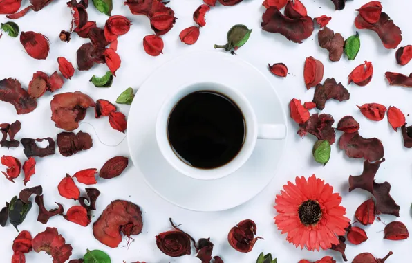 Picture flowers, coffee, petals, Cup, flowers, cup, coffee, petals