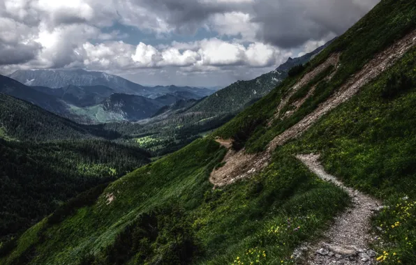 Greens, mountains, HDR, tatras