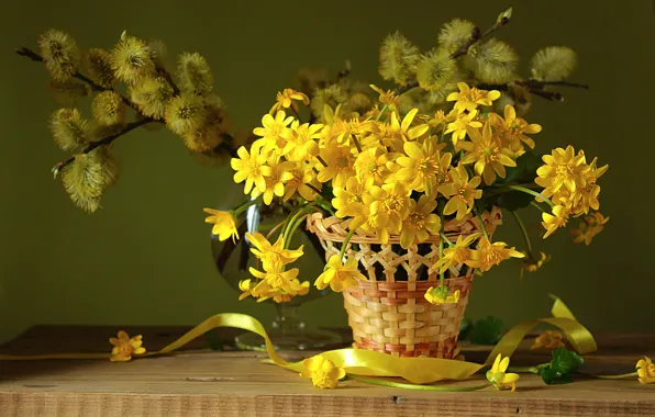 Picture basket, spring, Verba, primrose