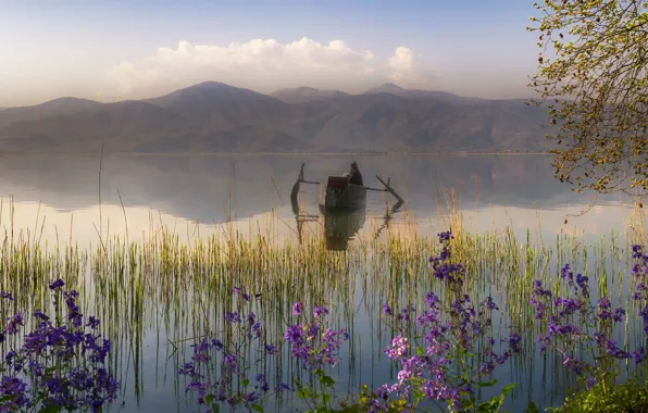 Picture clouds, flowers, mountains, branches, fog, lake, reflection, shore