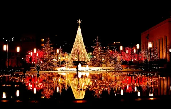Picture water, the city, lights, reflection, area, tree, garland, night