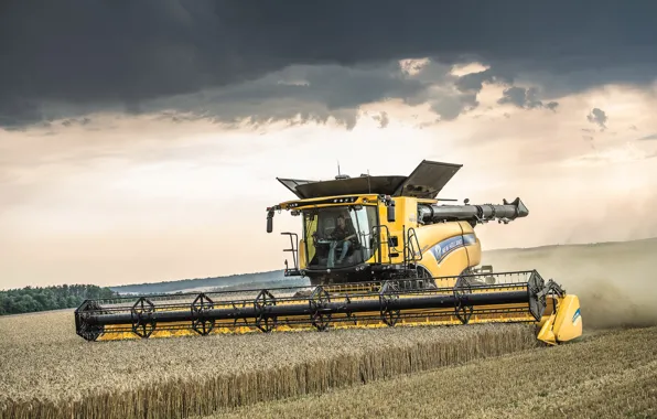 Picture The sky, Field, 2018, Harvester, New Holland, Psenica, New Holland CR10.90 Revelation